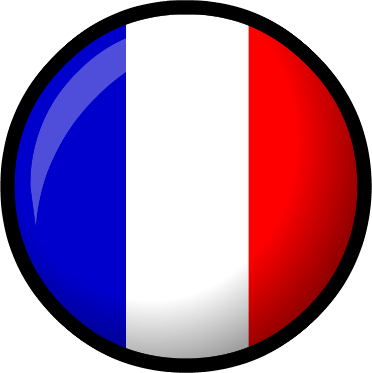 french flag
